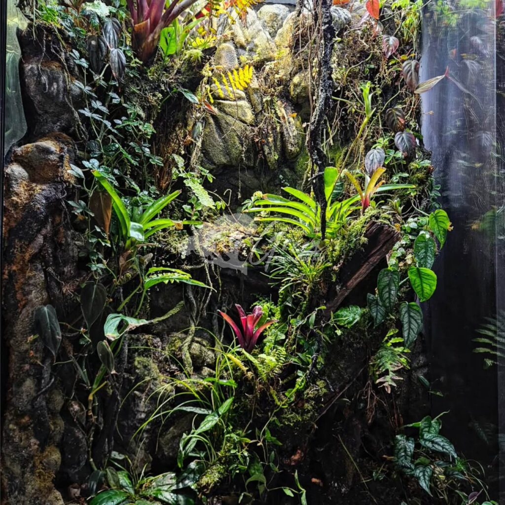 Jasa Pembuatan Paludarium Semarang