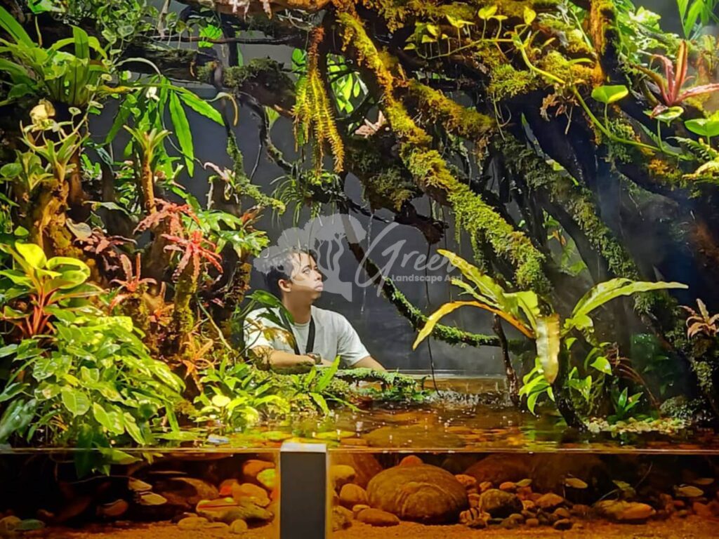 Jasa Pembuatan Paludarium Semarang