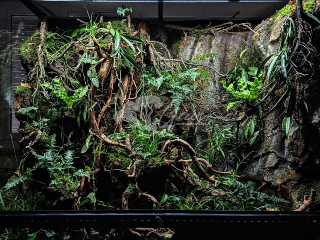 Jasa Pembuatan Paludarium Semarang