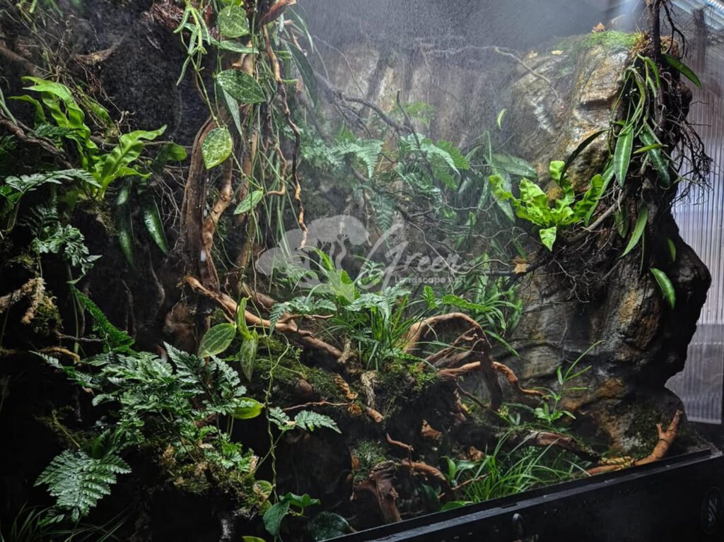 Jasa Pembuatan Paludarium Semarang