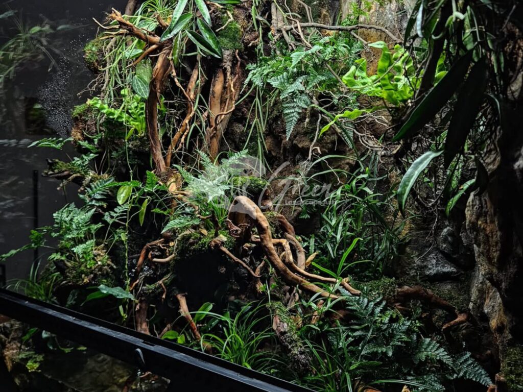 Jasa Pembuatan Paludarium Semarang