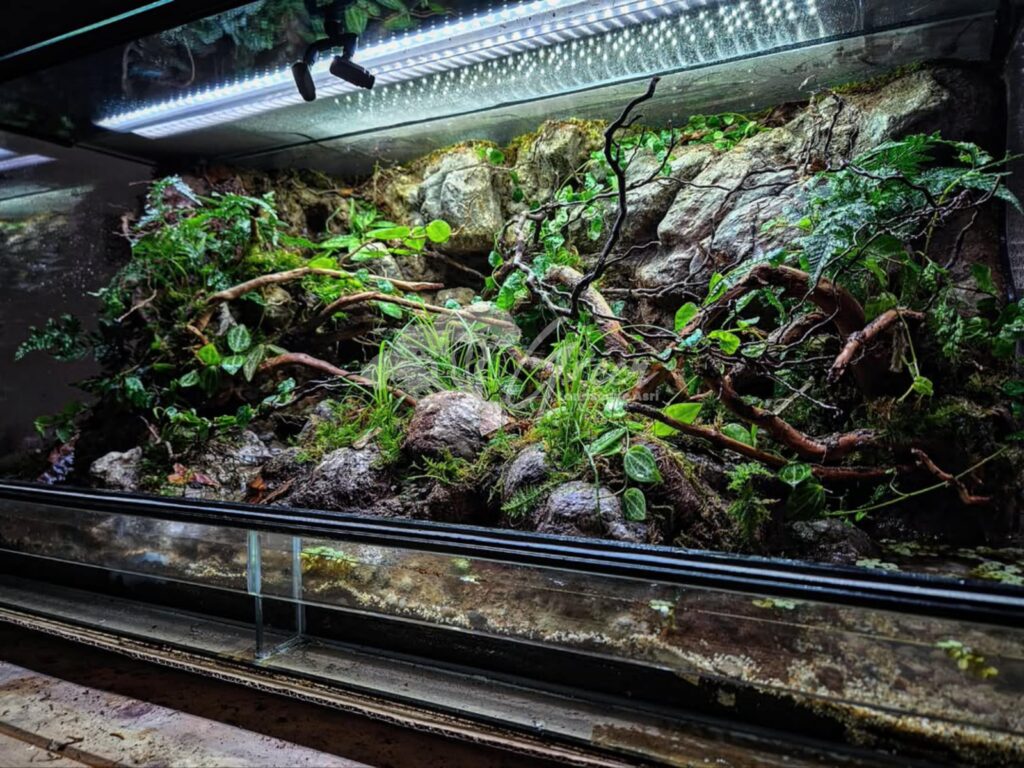 Jasa Pembuatan Paludarium Semarang