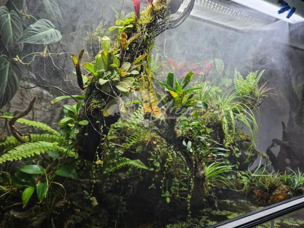 Jasa Pembuatan Paludarium Semarang